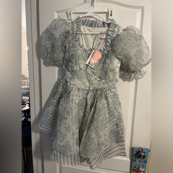 The Austen Silk Satin Portrait of a Lady Dress NWT - Picture 2 of 2